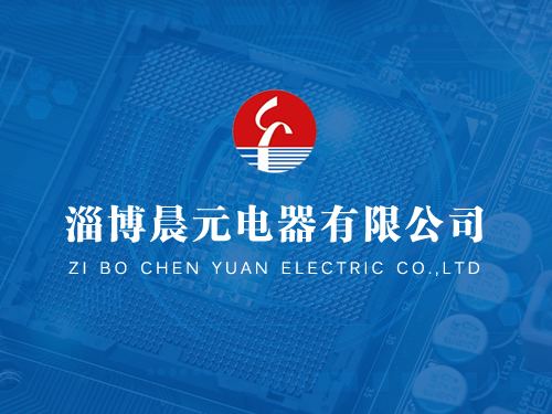 齊魯化工區(qū)領(lǐng)導(dǎo)蒞臨公司考察